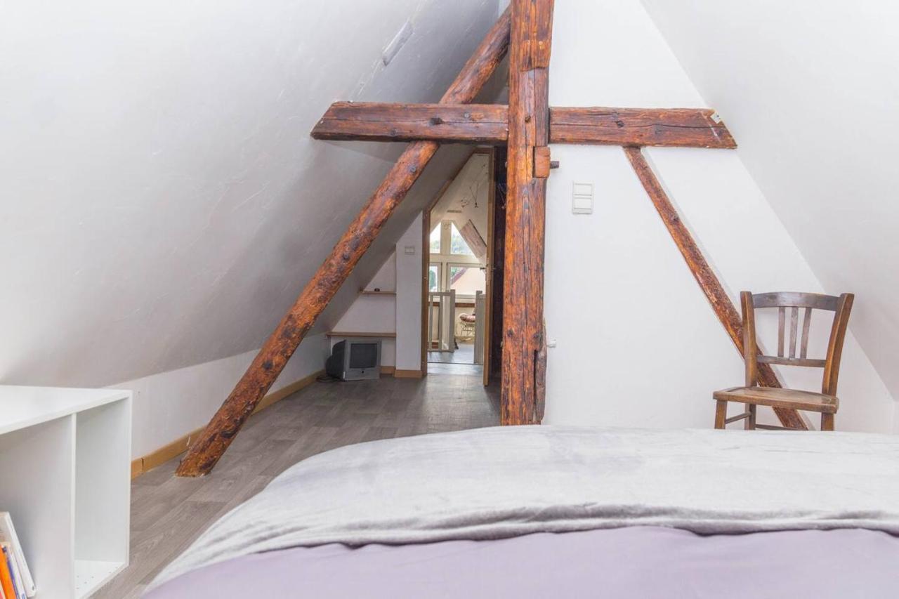 Charmant Appartement Alsacien Ribeauvillé Kültér fotó