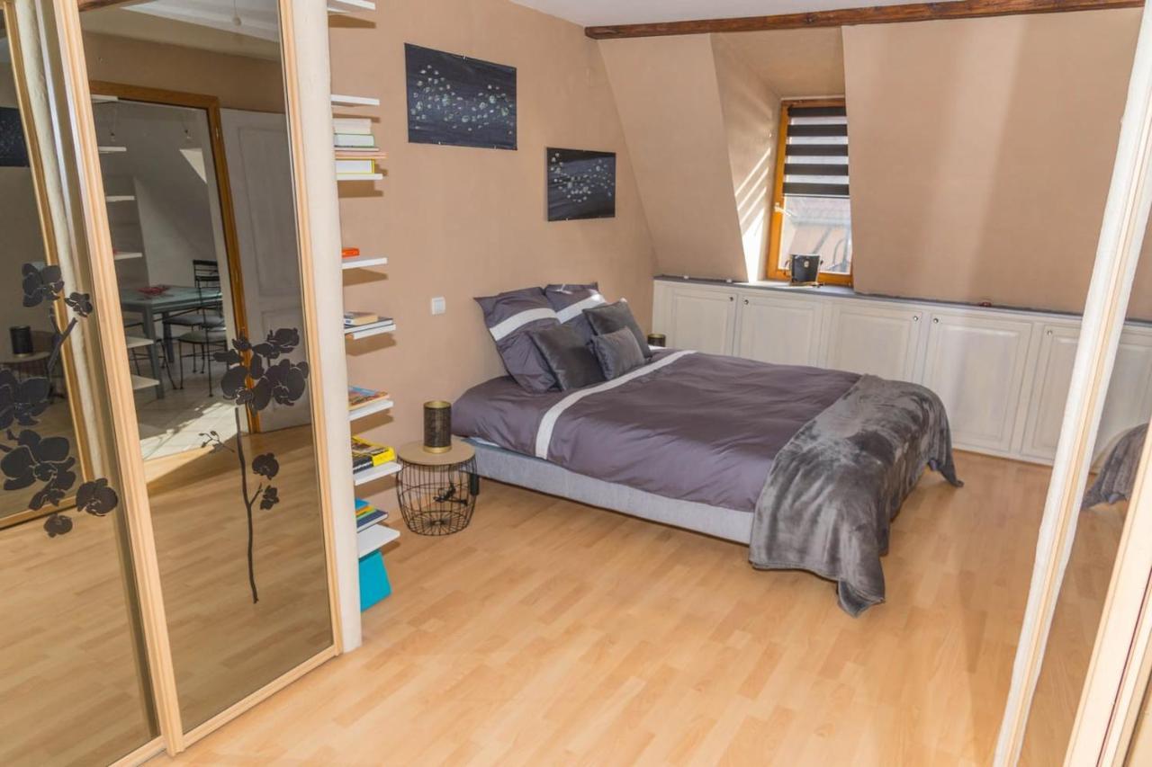 Charmant Appartement Alsacien Ribeauvillé Kültér fotó
