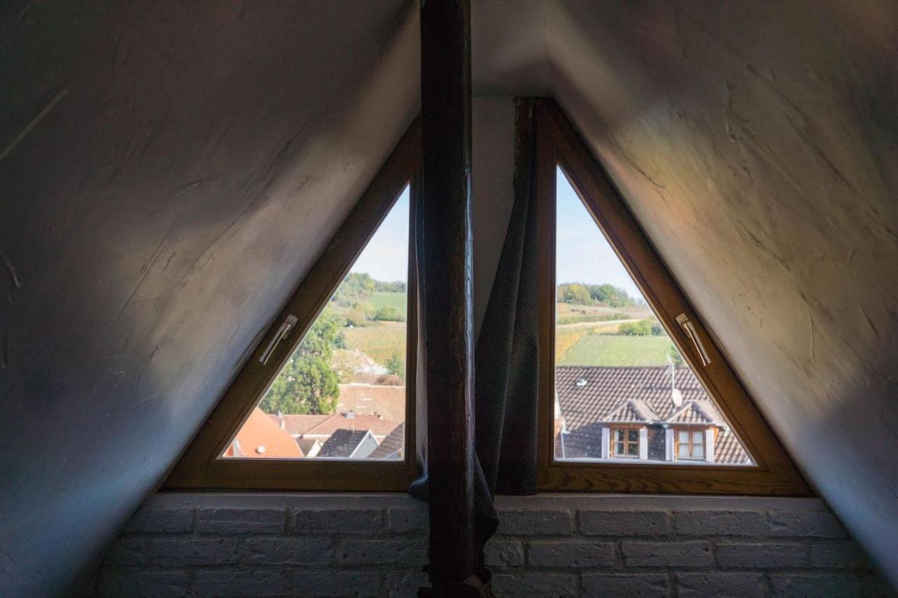 Charmant Appartement Alsacien Ribeauvillé Kültér fotó