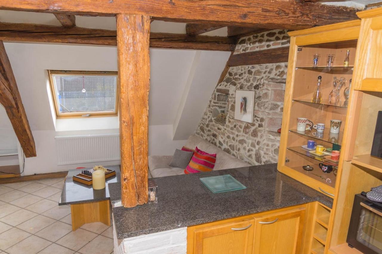Charmant Appartement Alsacien Ribeauvillé Kültér fotó