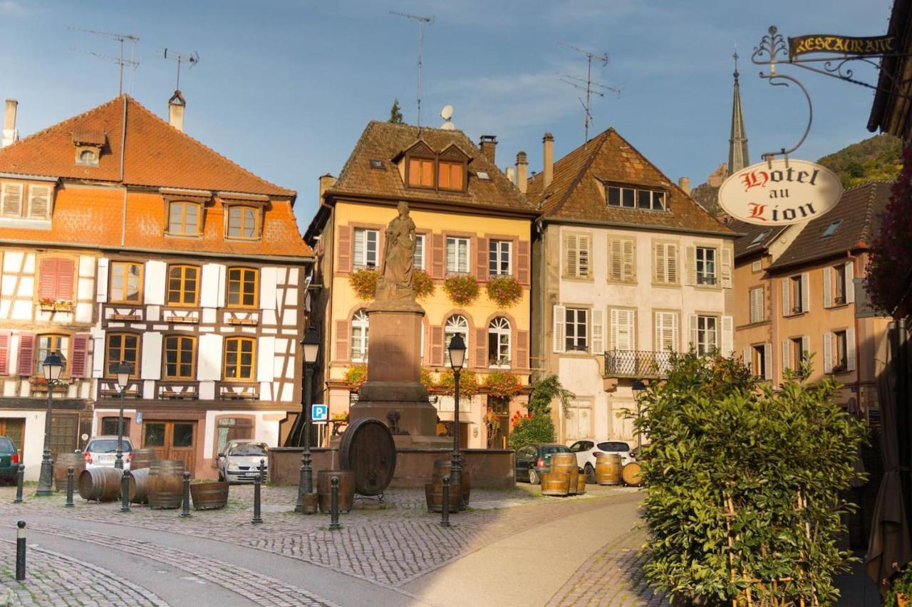 Charmant Appartement Alsacien Ribeauvillé Kültér fotó