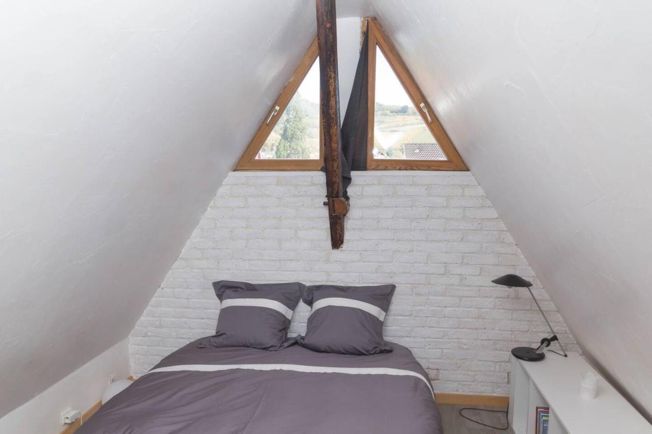 Charmant Appartement Alsacien Ribeauvillé Kültér fotó